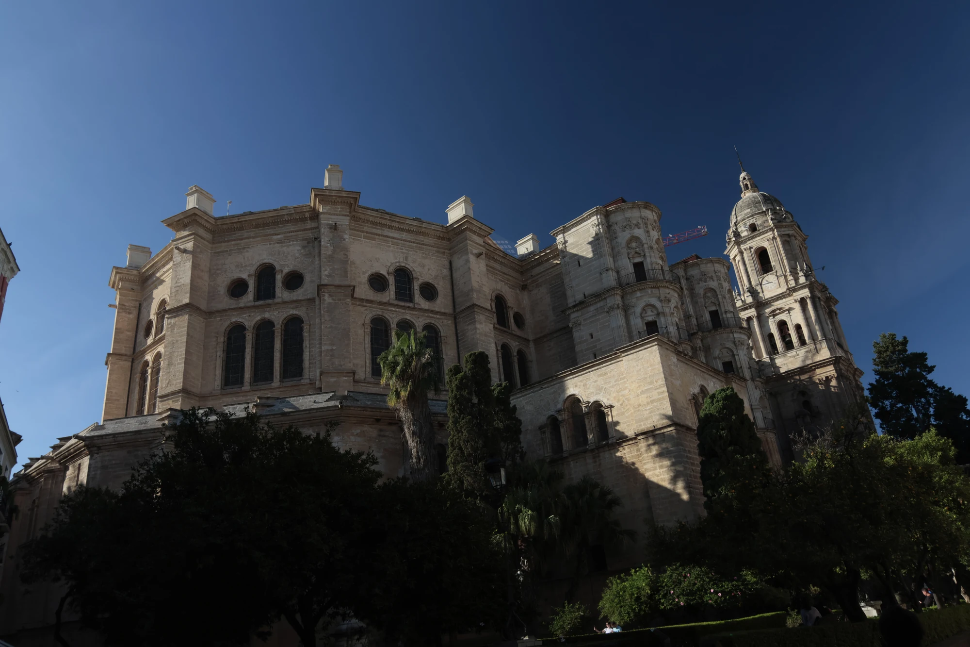 Tokina at-x 116 (EF) - _I4A2242.webp